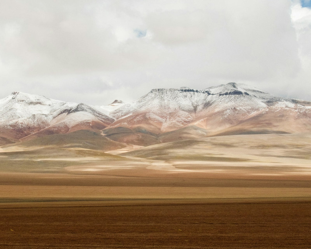 Hauts plateaux de l'altiplano péruvien couverts d'herbe brune, avec des sommets enneigés à l'horizon
