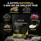 [lang:fr] HERCULE Gummies Performance, 6 actifs naturels et 3 000 mg de shilajit pur